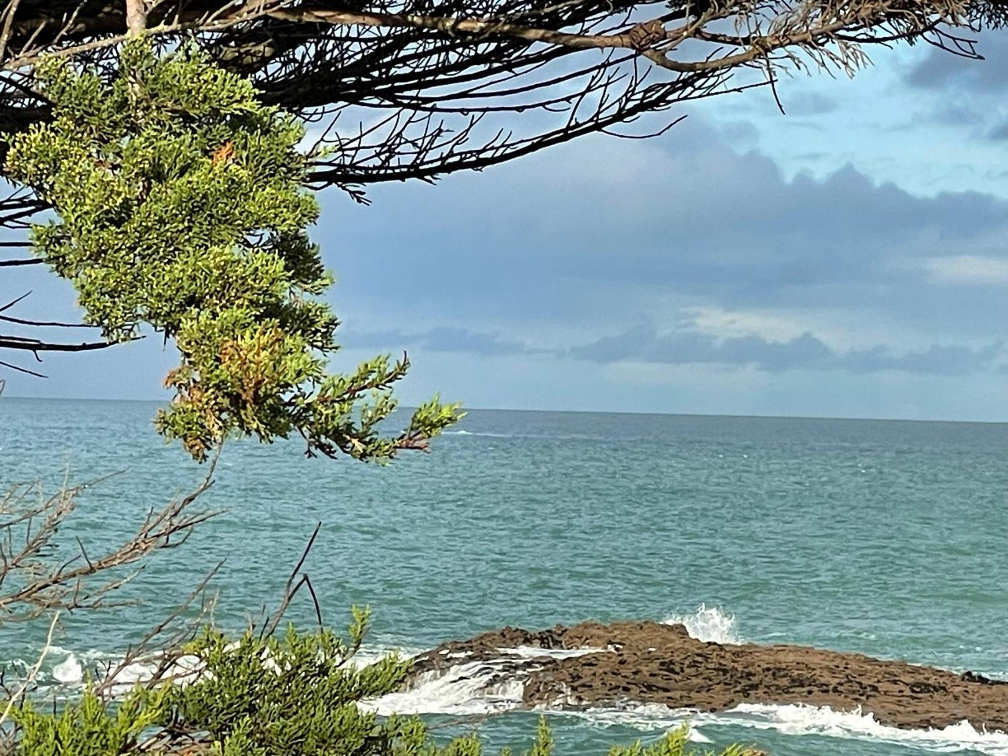 Lebraz 2 Lägenhet Saint-Lunaire Exteriör bild